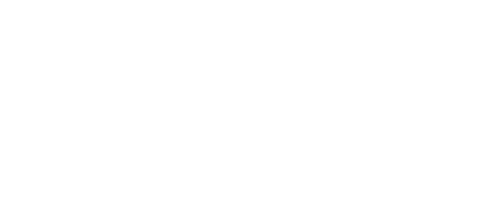 Saladini